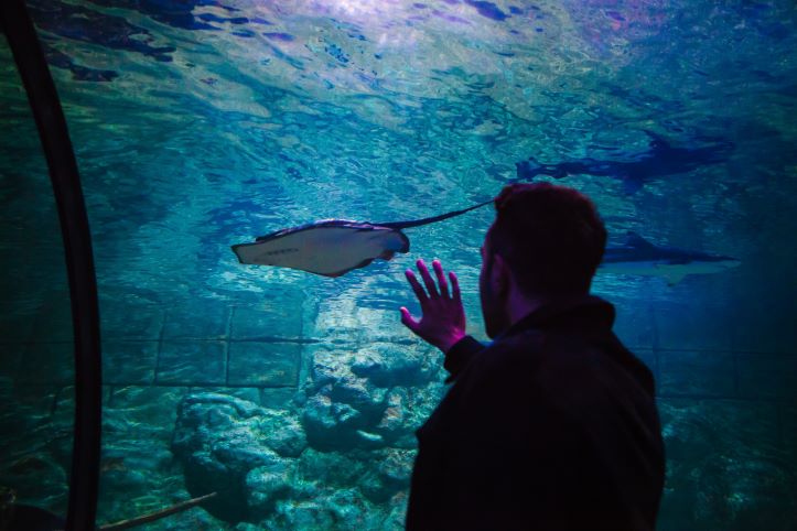 The-Columbus-Aquarium